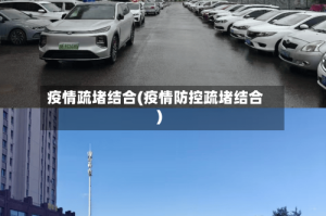 疫情疏堵结合(疫情防控疏堵结合)