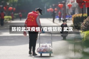 防控武汉疫情/疫情防控 武汉