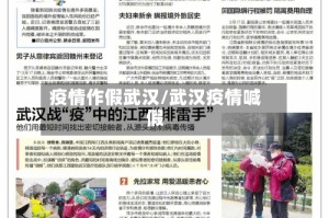 疫情作假武汉/武汉疫情喊假