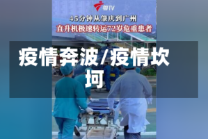 疫情奔波/疫情坎坷