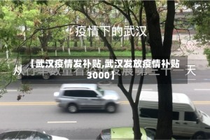 【武汉疫情发补贴,武汉发放疫情补贴3000】
