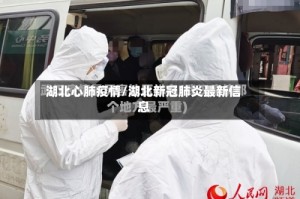 湖北心肺疫情/湖北新冠肺炎最新信息