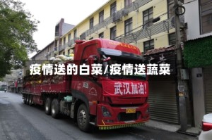 疫情送的白菜/疫情送蔬菜