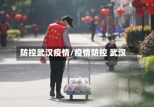 防控武汉疫情/疫情防控 武汉-第1张图片