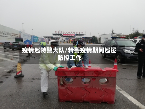 疫情巡特警大队/特警疫情期间巡逻防控工作-第1张图片