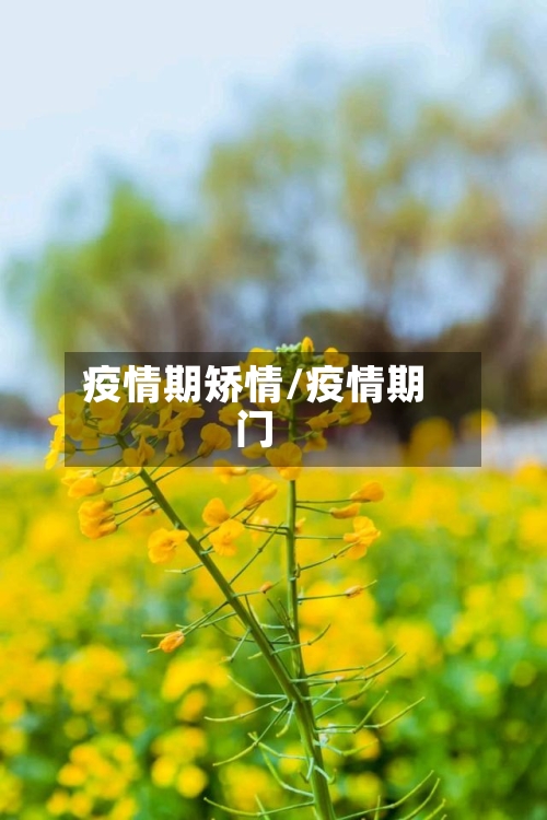 疫情期矫情/疫情期门-第1张图片