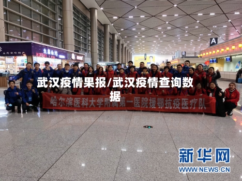 武汉疫情果报/武汉疫情查询数据-第2张图片